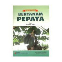 Image of BERTANAM PEPAYA