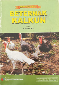 Image of Beternak Kalkun